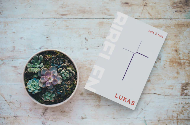 Cover av bokutgivelse Lukas lett å lesa, på nynorsk.