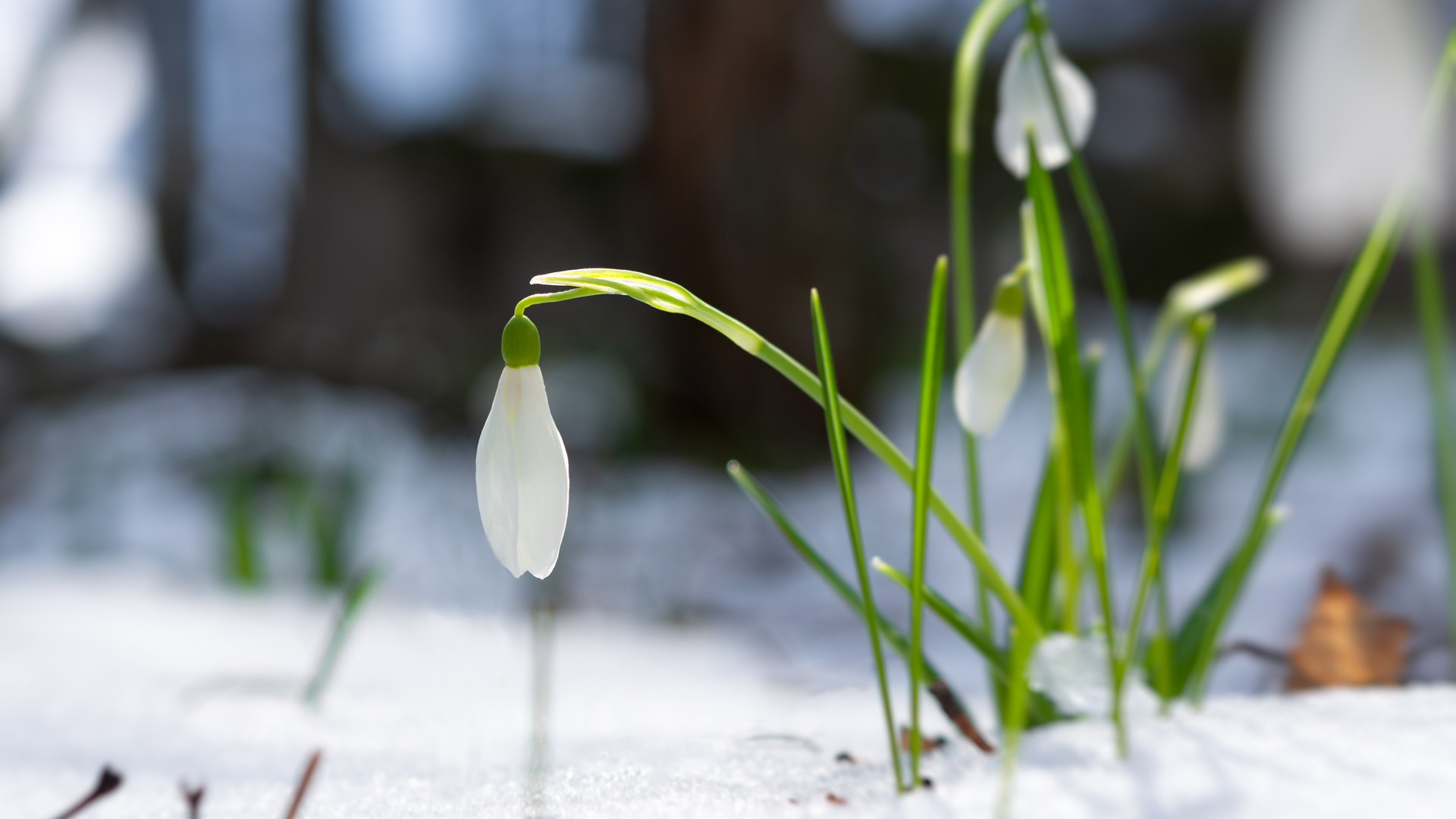 Test bilde 169