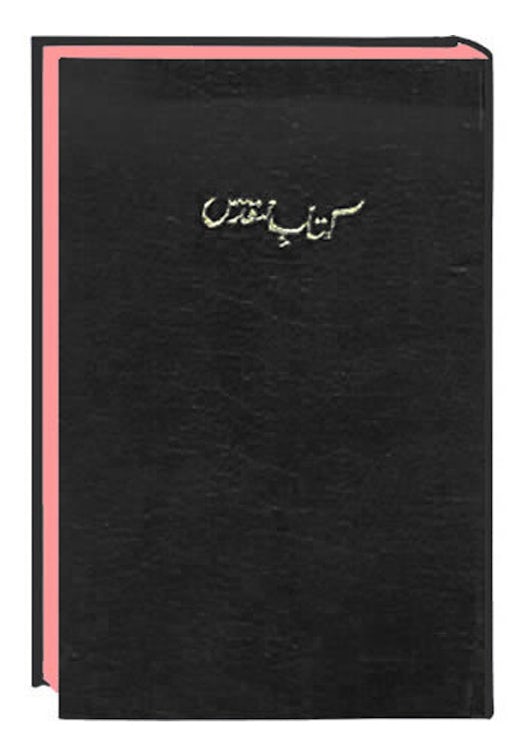 Urdu Bibel