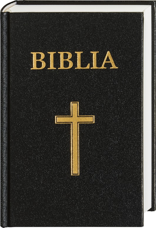 Rumensk bibel