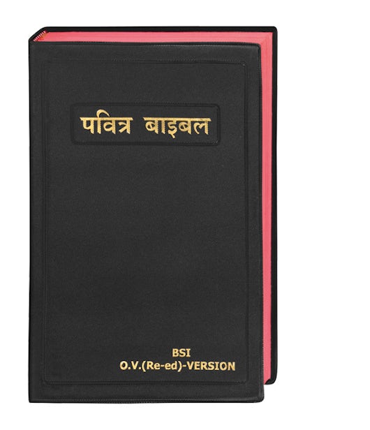 Hindi Bibel