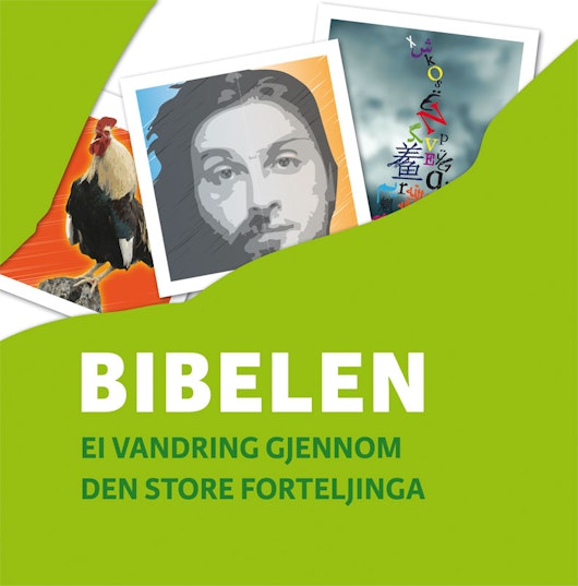 Bibelen Ei vandring gjennom den store forteljinga