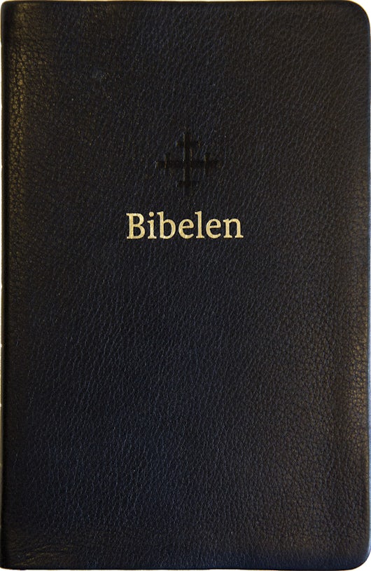 Bibel 2011, mellomstor, sort skinn med register