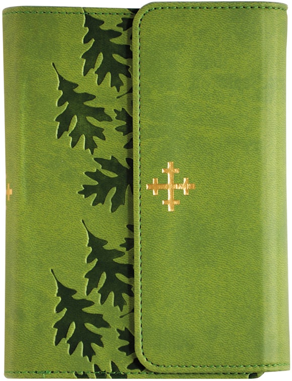 Bibel 2011, liten utgave i grønt kunstskinn