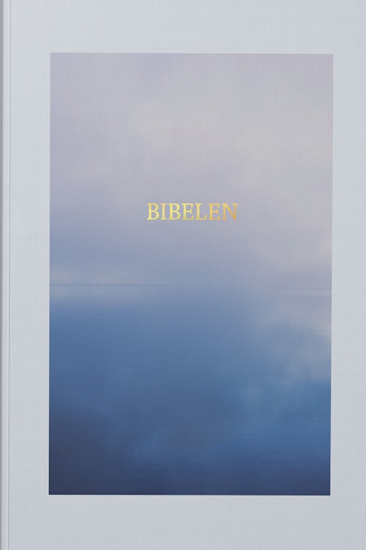 Bibel 2011, Stor utgave - Trend