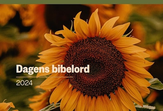 Dagens bibelord 2023/2024