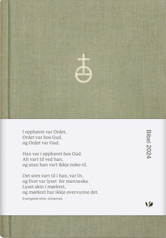 Bibel 2024, Folkebibel NN