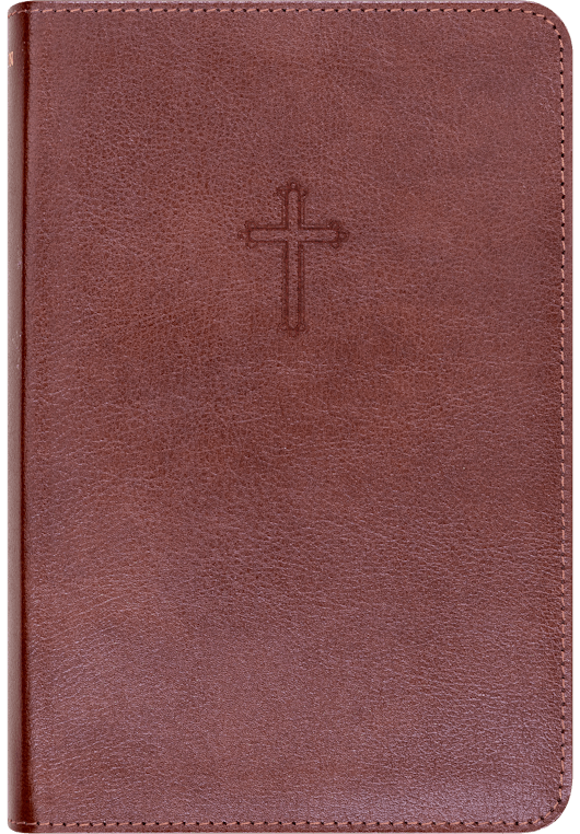 Bibel 2024, Katolsk utgave, brunt resirkulert skinn