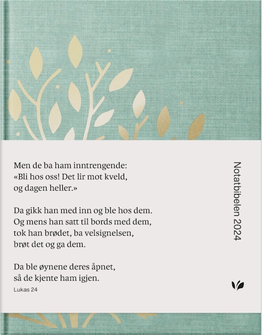 Bibel 2024, Notatbibel