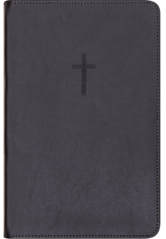 Bibel 2024, medium klassisk sort kalveskinn med register BM