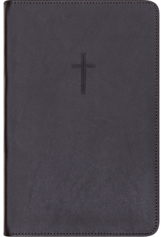 Bibel 2024, Svart skinn med register, medium