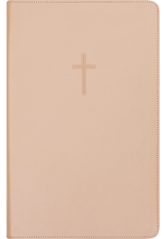 Bibel 2024, stor klassisk brunt kalveskinn NN