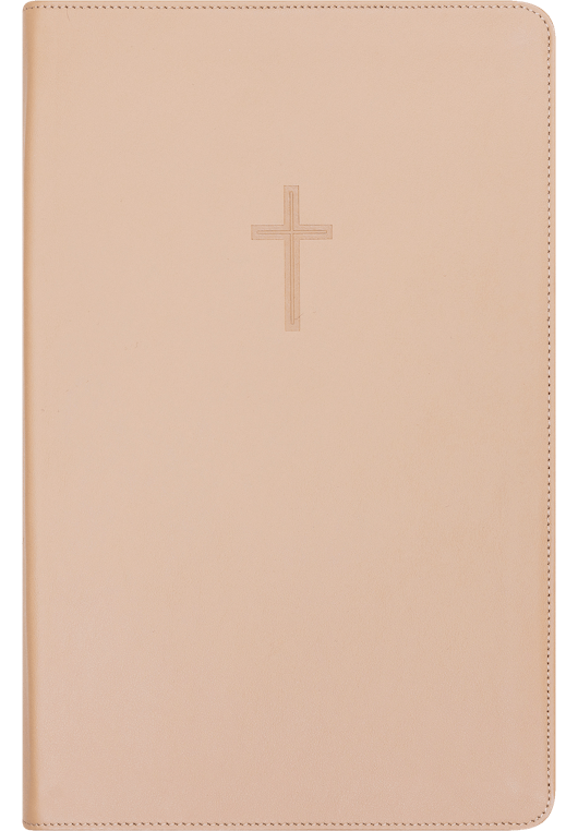Bibel 2024, stor klassisk brunt kalveskinn BM