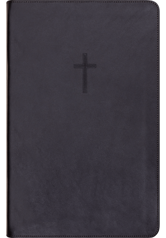 Bibel 2024, stor klassisk sort kalveskinn med register BM