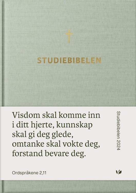 Bibel 2024, Studiebibelen