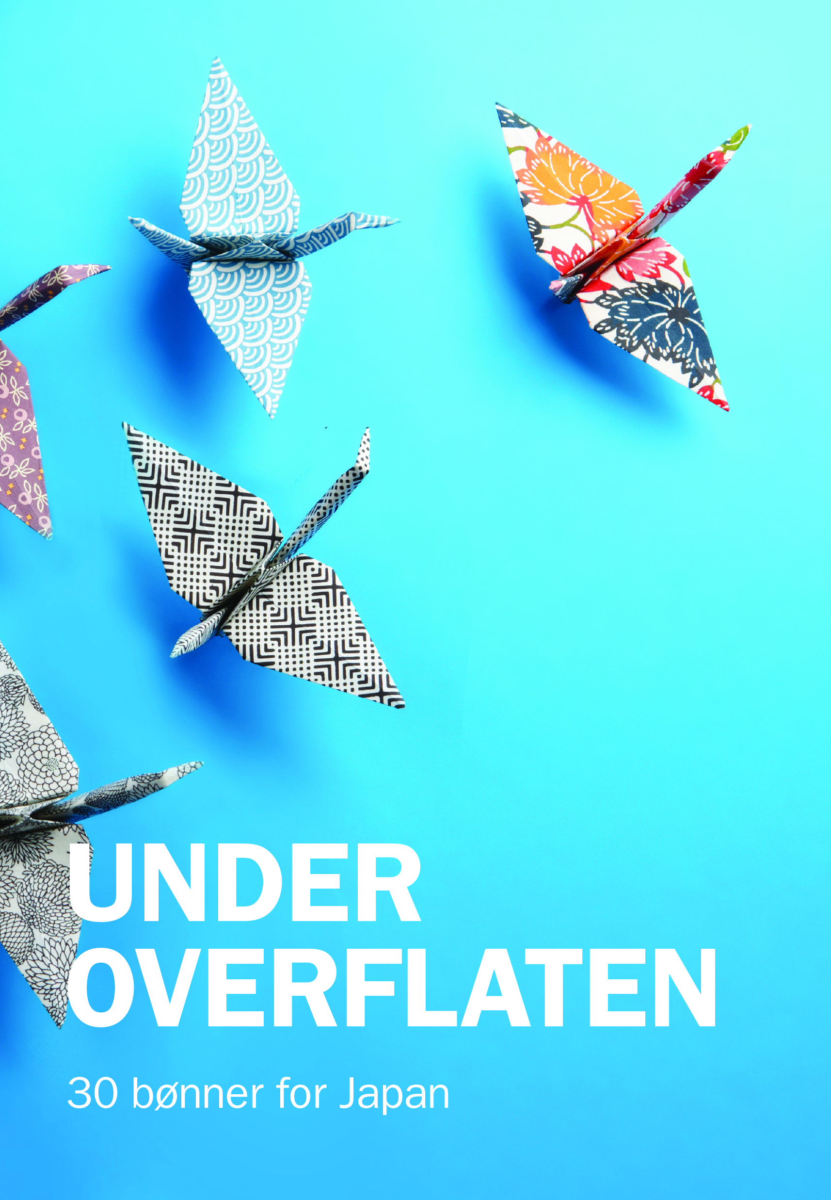 Under overflaten Bønnehefte Japan i norsk forside