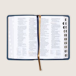 Bibel 2024, medium klassisk blått kalveskinn med register NN
