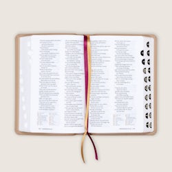 Bibel 2024, medium klassisk brunt kalveskinn med register NN