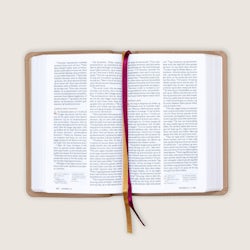Bibel 2024, medium klassisk brunt kalveskinn NN