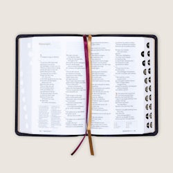 Bibel 2024, medium klassisk sort kalveskinn med register BM