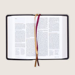Bibel 2024, medium klassisk svart kalveskinn NN