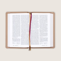 Bibel 2024, stor klassisk brunt kalveskinn BM