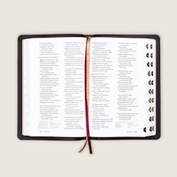Bibel 2024, stor klassisk sort kalveskinn med register BM