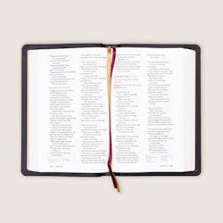 Bibel 2024, stor klassisk svart kalveskinn NN