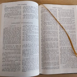 Bibelen 1930