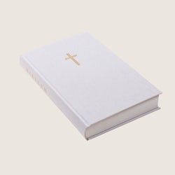 Bibel 2024, stor klassisk beige tekstil, innbunden NN